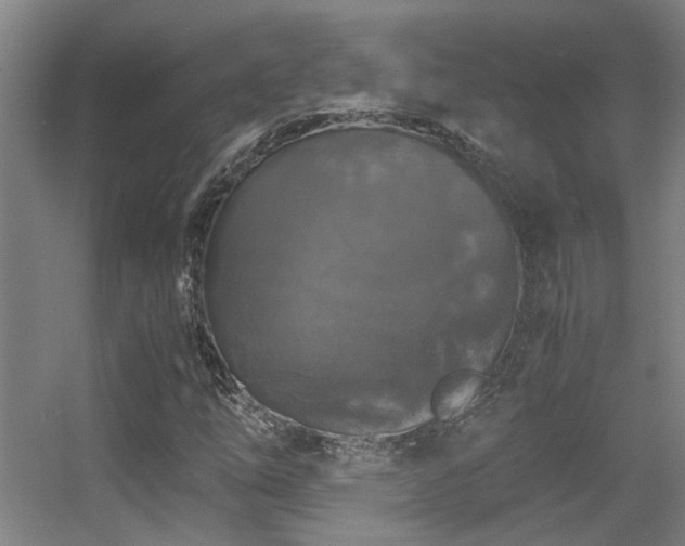 X0000056001254200508221314