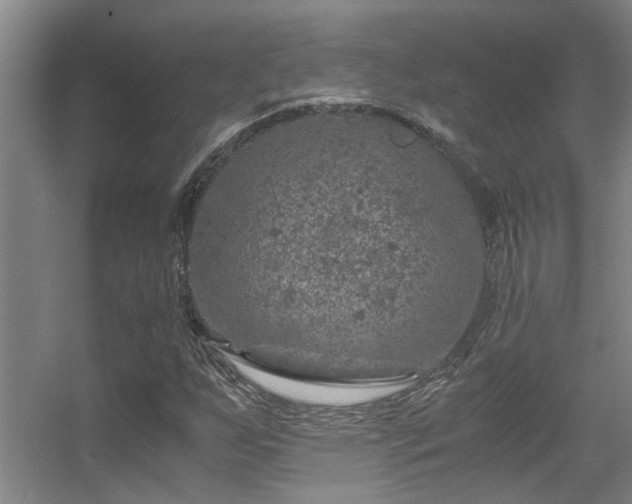 X0000056001255200508221313