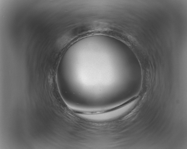 X0000056001257200508221313