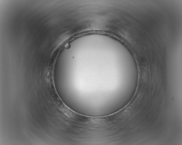 X0000056001258200508221313