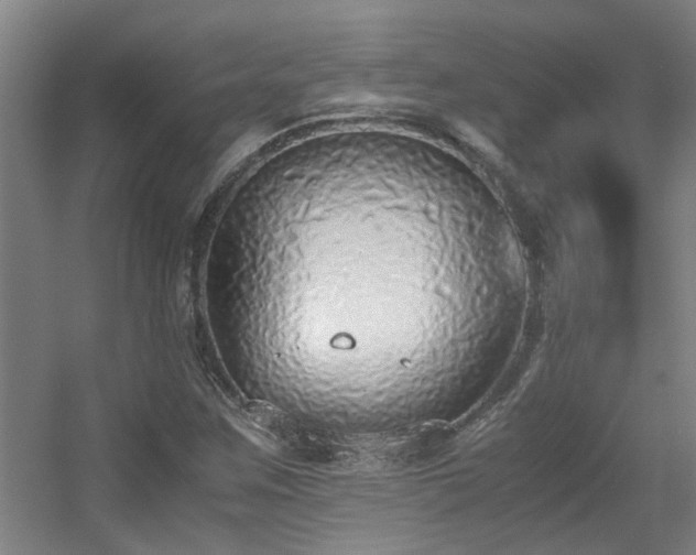 X0000056001259200508221313