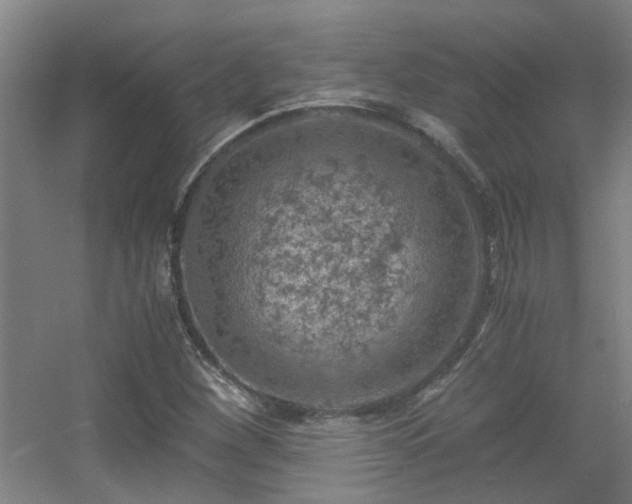 X0000056001260200508221313