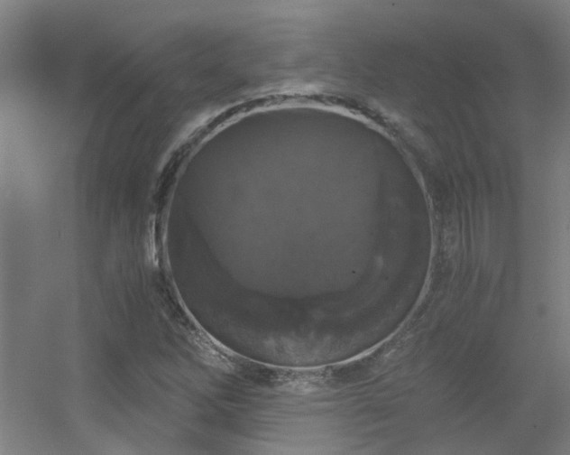 X0000056001262200508221313