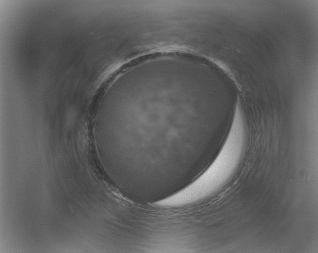 X0000056001263200508221313