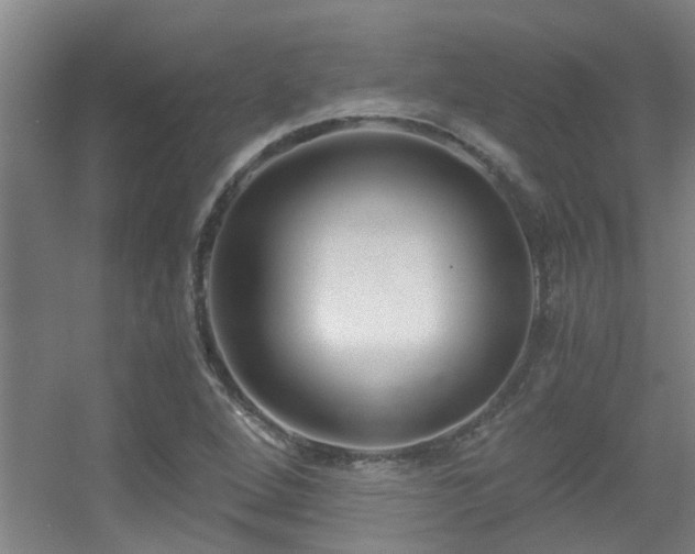 X0000056001264200508221313