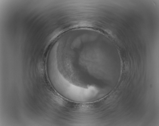 X0000056001266200508221313