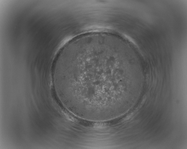 X0000056001267200508221313