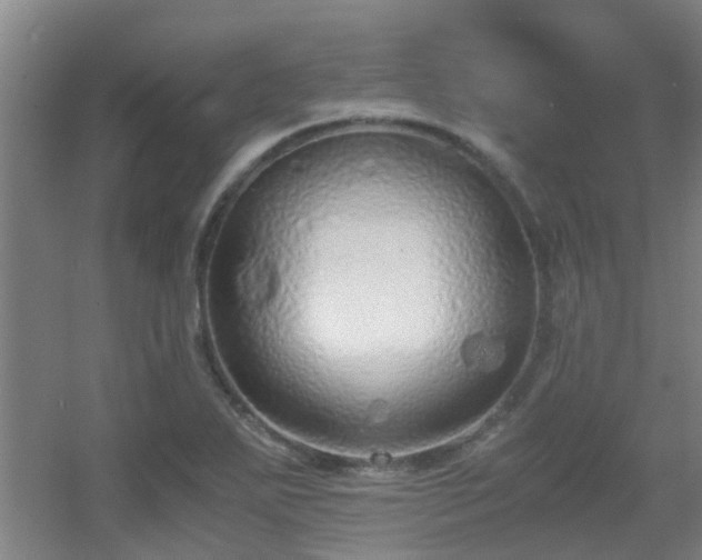 X0000056001271200508221313