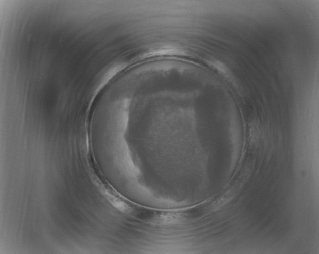 X0000056001274200508221313