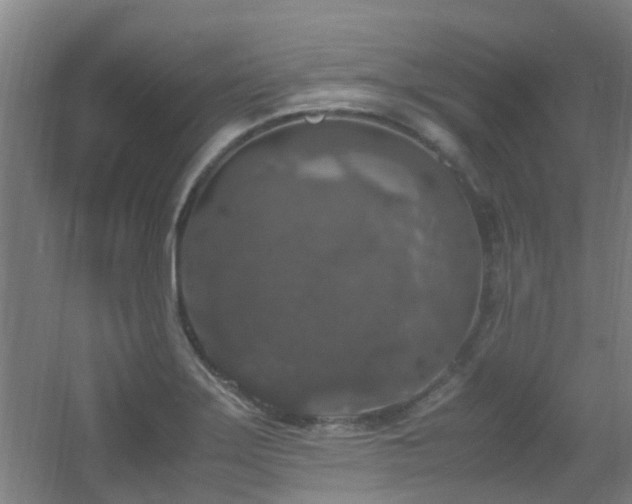 X0000056001275200508221313