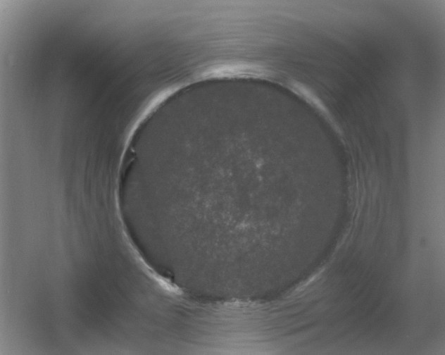 X0000056001277200508221313