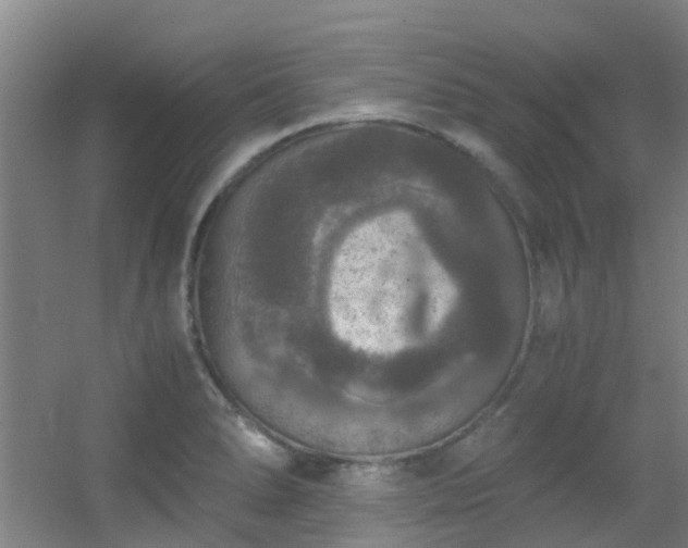 X0000056001278200508221313