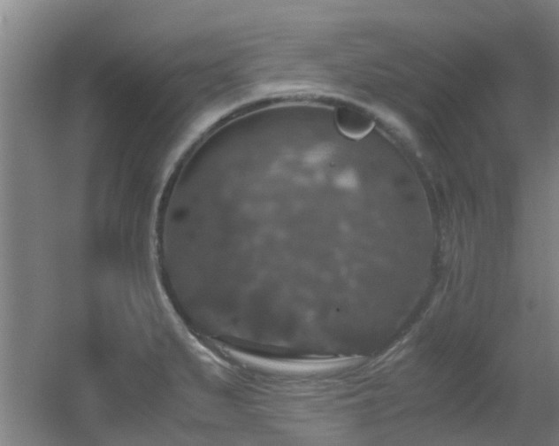 X0000056001279200508221313