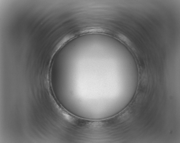 X0000056001282200508221313