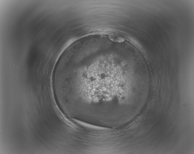 X0000056001283200508221313