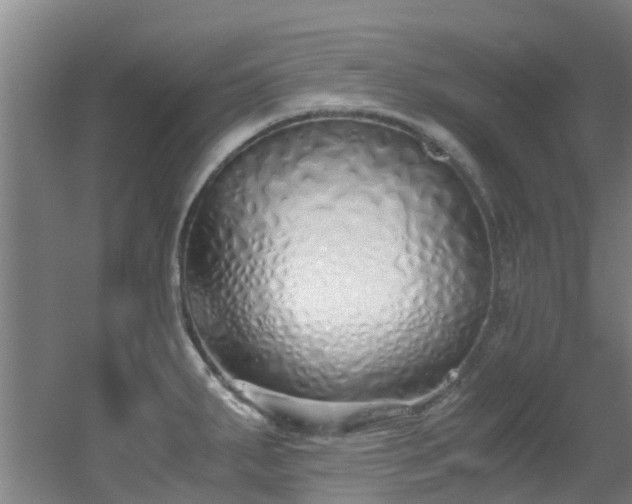 X0000056001287200508221313