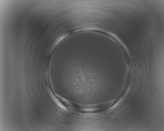 X0000056001289200508221313