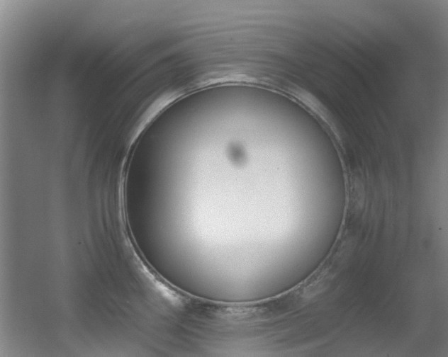 X0000056001290200508221313