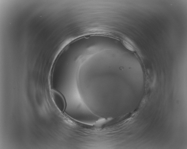 X0000056001291200508221313