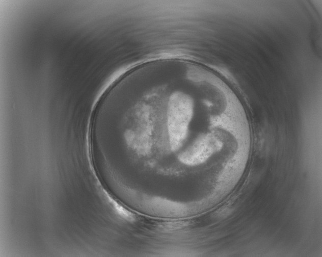 X0000056001294200508221313