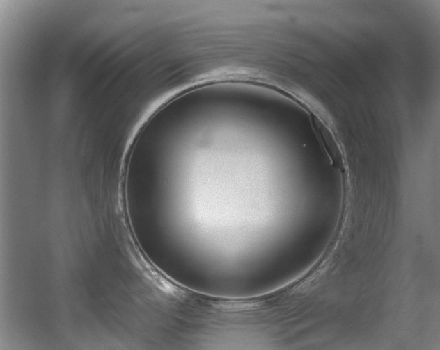 X0000056001296200508221313