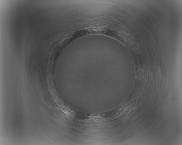 X0000056001297200508221312