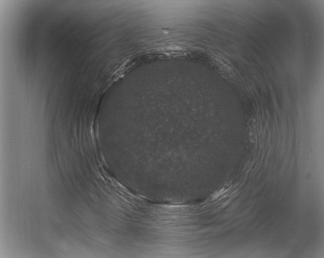 X0000056001298200508221312