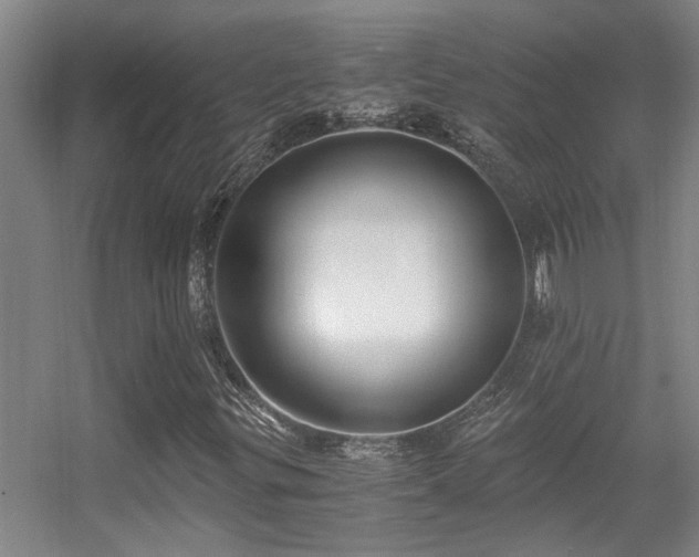 X0000056001299200508221312