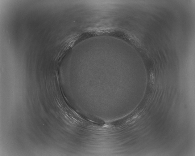 X0000056001300200508221312