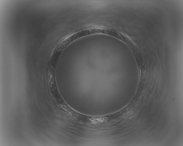 X0000056001303200508221312