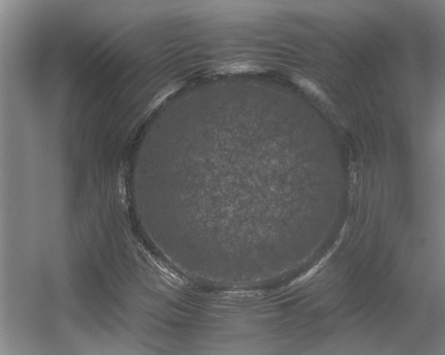 X0000056001305200508221312