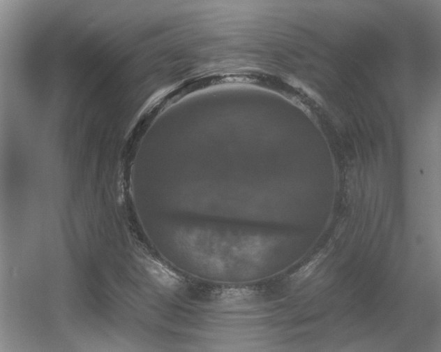 X0000056001306200508221312