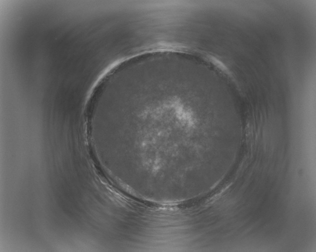 X0000056001310200508221312