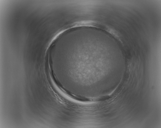 X0000056001312200508221312