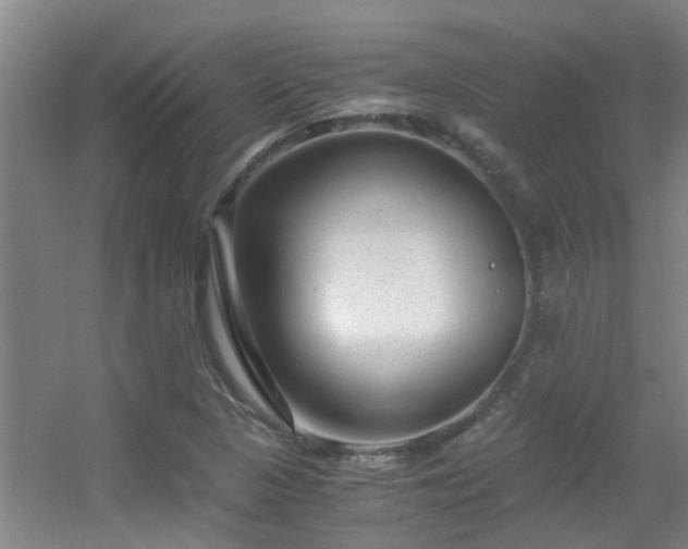 X0000056001313200508221312