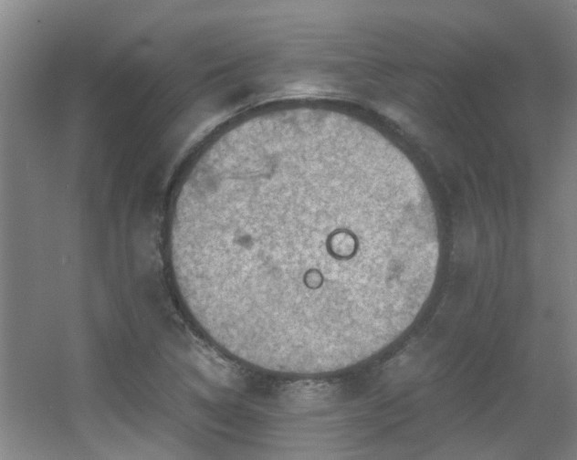 X0000056001314200508221312