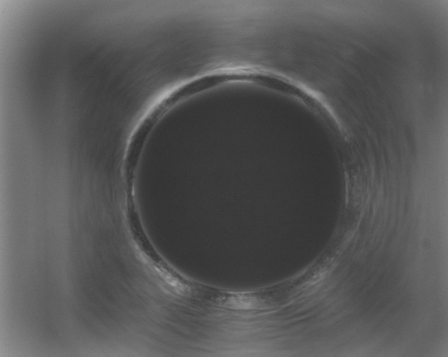 X0000056001319200508221312