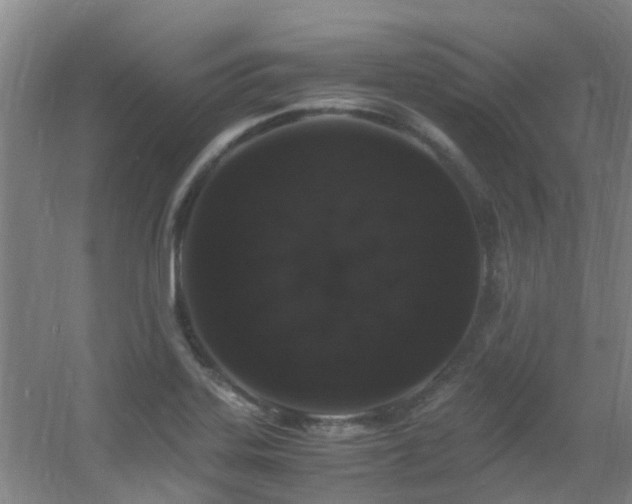 X0000056001323200508221312