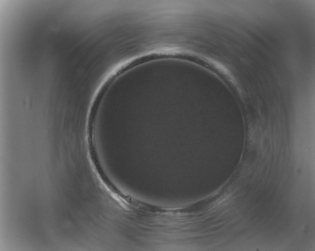 X0000056001327200508221312