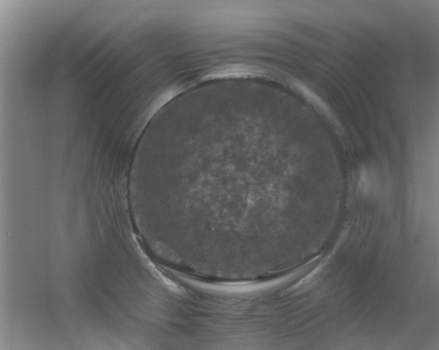 X0000056001329200508221313