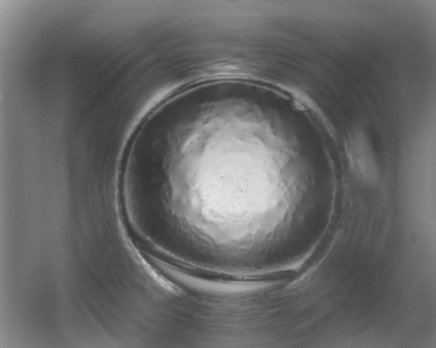 X0000056001333200508221313