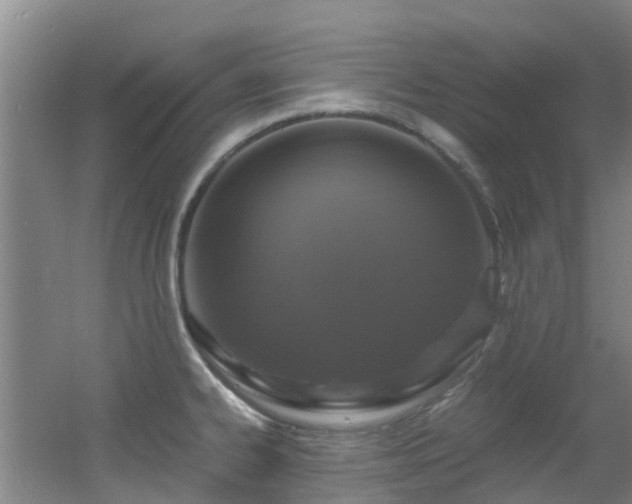 X0000056001334200508221313