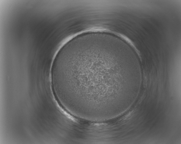 X0000056001335200508221313