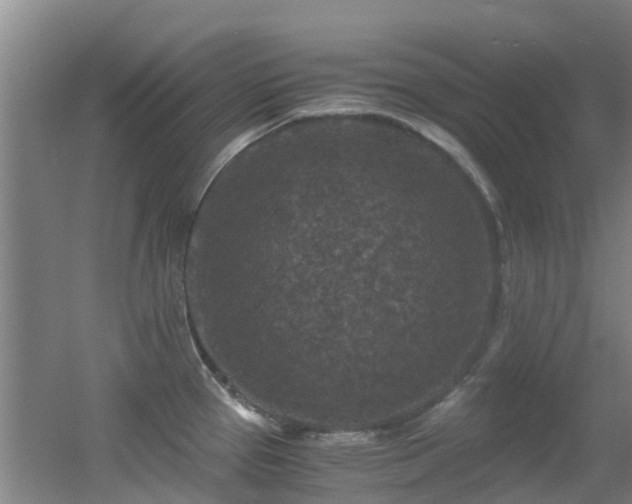 X0000056001337200508221313