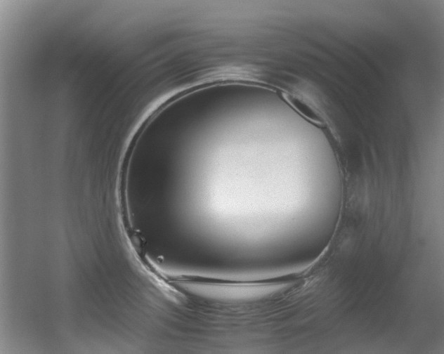 X0000056001339200508221313