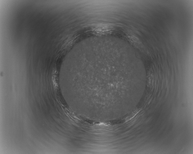 X0000056001346200508221312