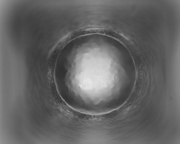 X0000056001351200508221312