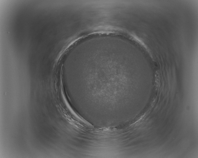 X0000056001352200508221312