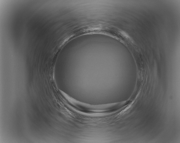 X0000056001353200508221312