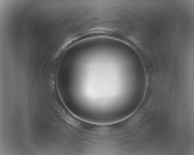 X0000056001355200508221312